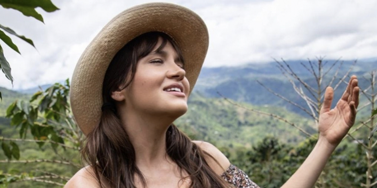 Distribuție și episoade pe Netflix