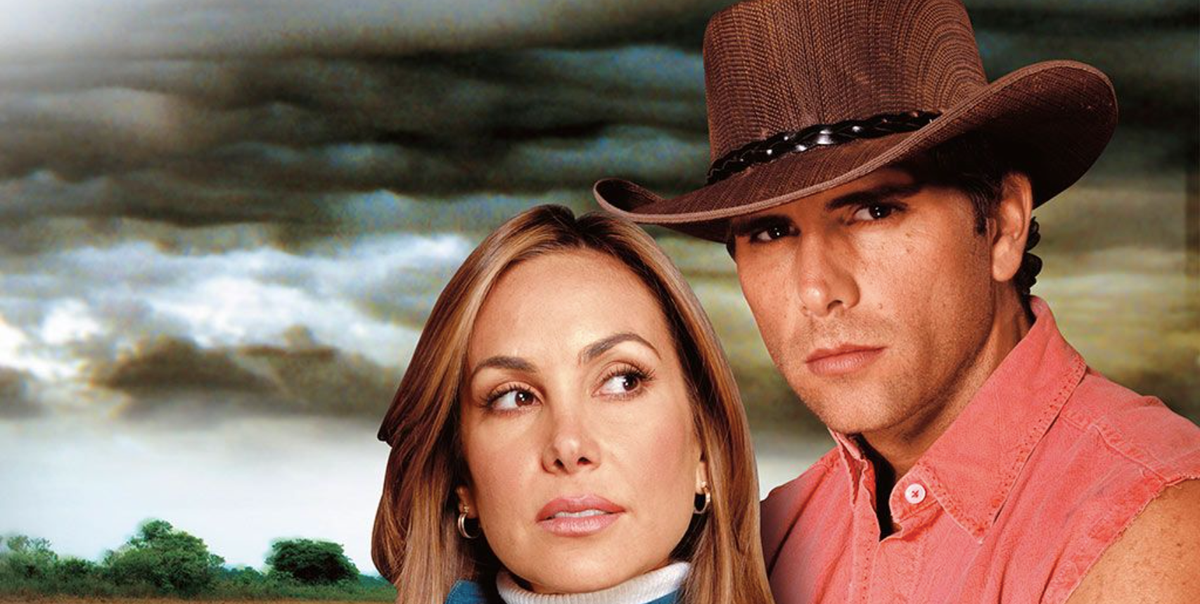 cunoaște distribuția și intriga