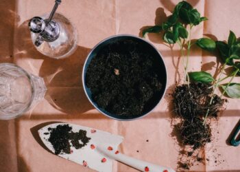 Avantajele de a Comanda Online Unelte si Accesorii de la un Magazin de Bricolaj