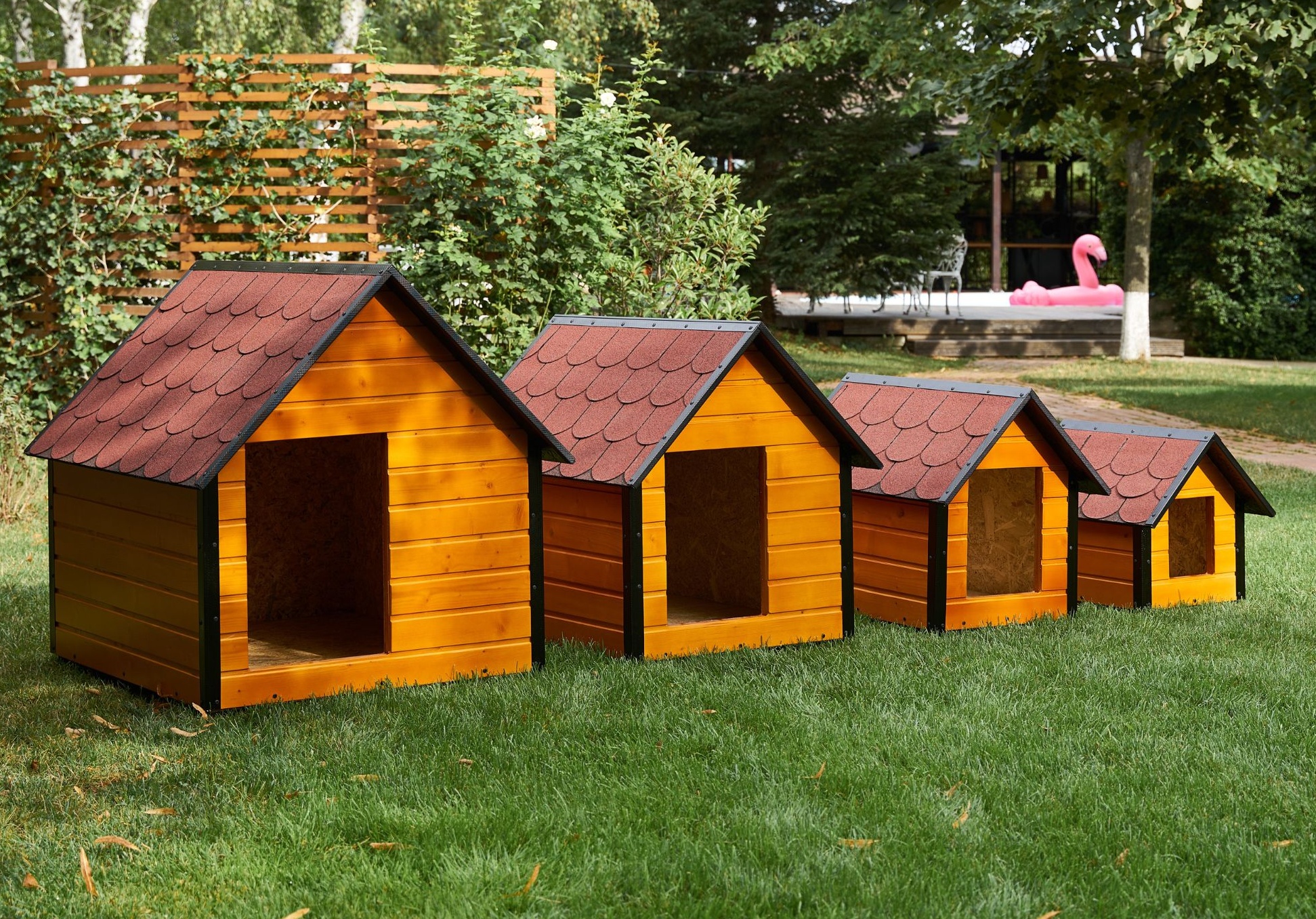 Câini și accesorii esențiale: Cum să îți îngrijești corect prietenul patruped