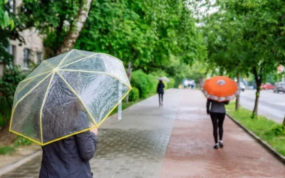 Anuntul meteo care strica planurile romanilor. Temperaturile scad la minus 2 grade de 1 Mai