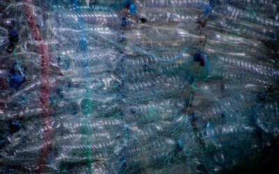 De ce hainele din sticle reciclate pot opri reutilizarea plasticului după un singur ciclu
